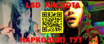 прущие крисы Камышлов