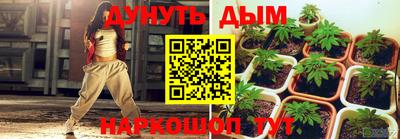 прущие крисы Камышлов