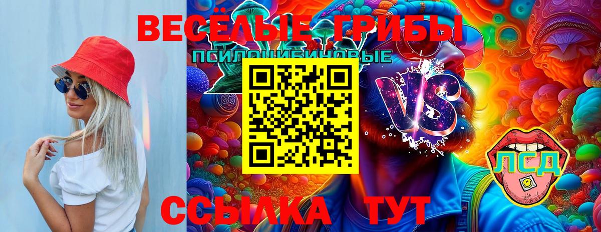 Псилоцибиновые грибы прущие грибы  купить наркотик  Великий Устюг  Вход с VPN 
