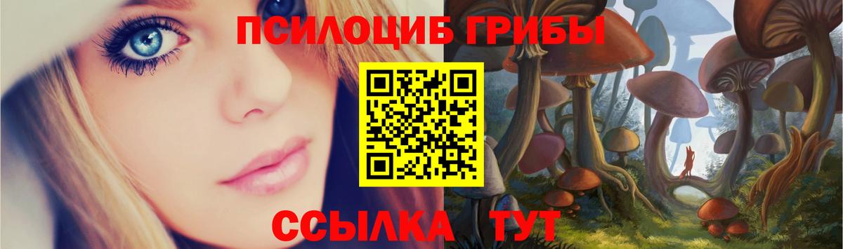 Галлюциногенные грибы MAGIC MUSHROOMS Великий Устюг